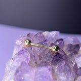 Anatometal 18k Straight Nipple Barbell