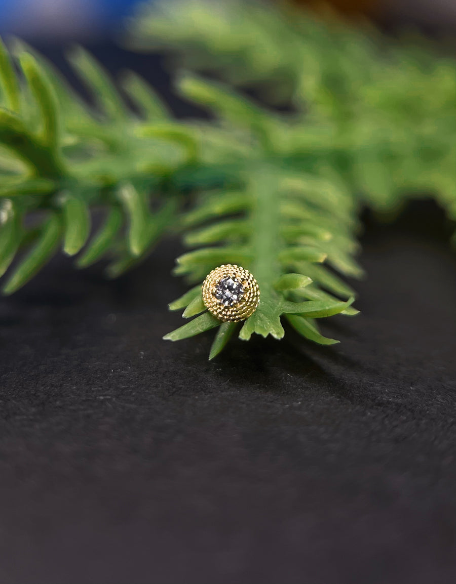 Anatometal Hera