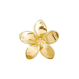 Tawapa Plumeria