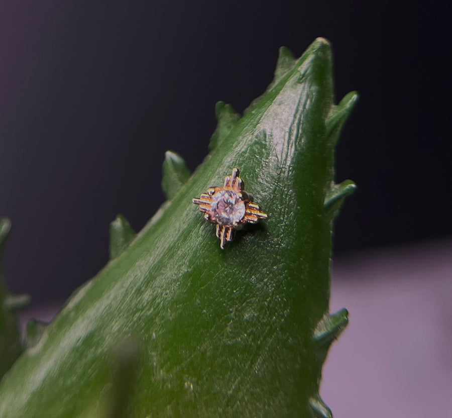 Tawapa Radiant