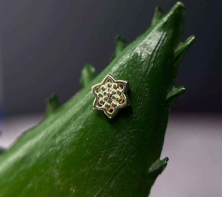 Tawapa Tiny Lotus