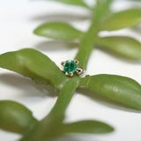 Modern Mood Pippa Dot