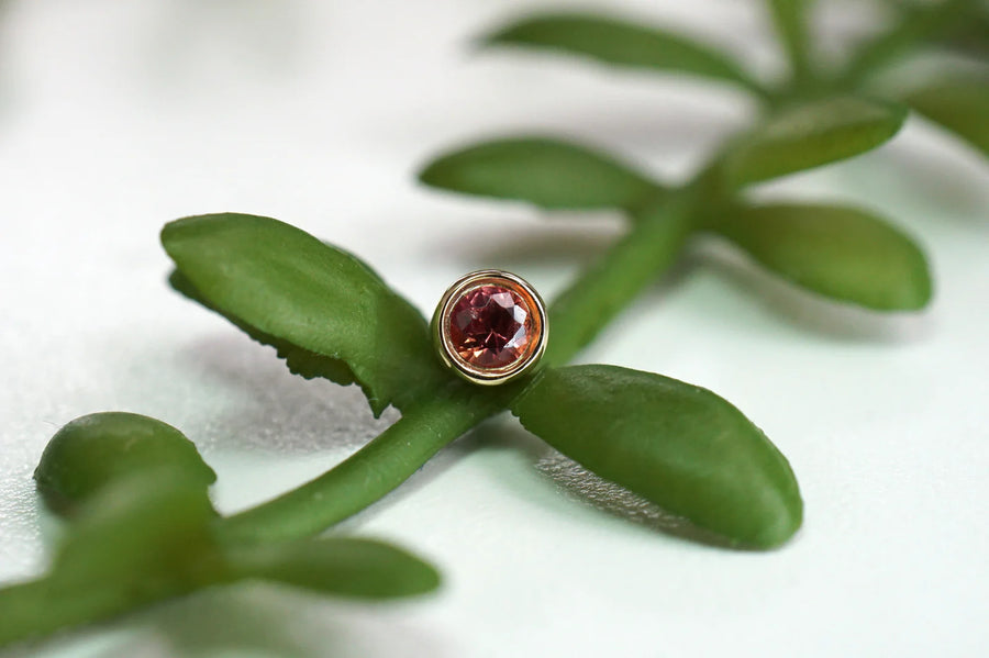 Modern Mood Reitz Bezel