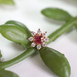 Modern Mood Athena Mini & Ruby