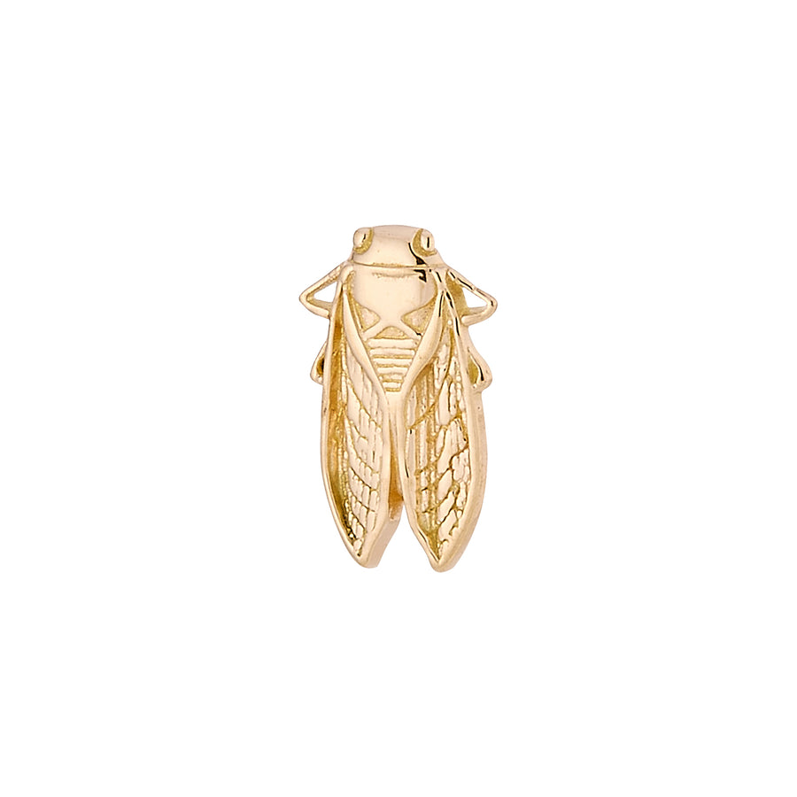 Body Gems Cicada