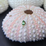 BVLA Beaded Marquise