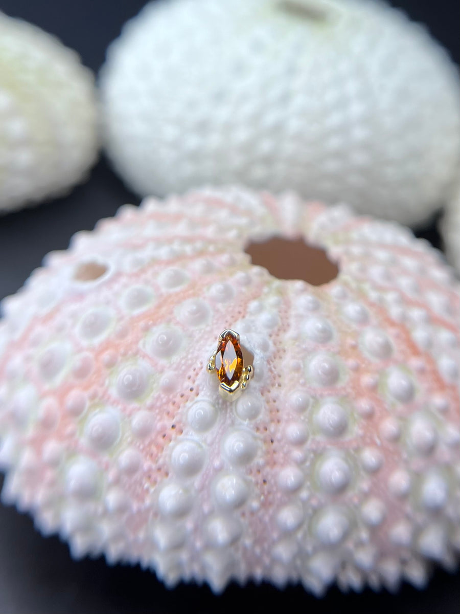 BVLA Beaded Marquise