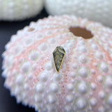 BVLA Florentine Coffin