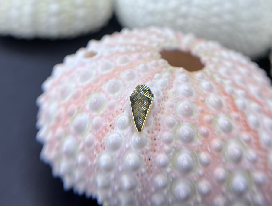 BVLA Florentine Coffin
