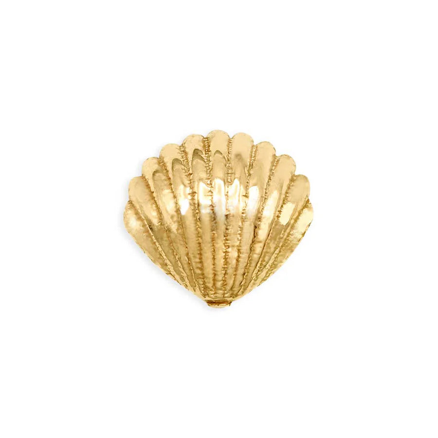 Tawapa Shell