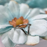 Interstellar Niobium Varuna - Conch/Orbital