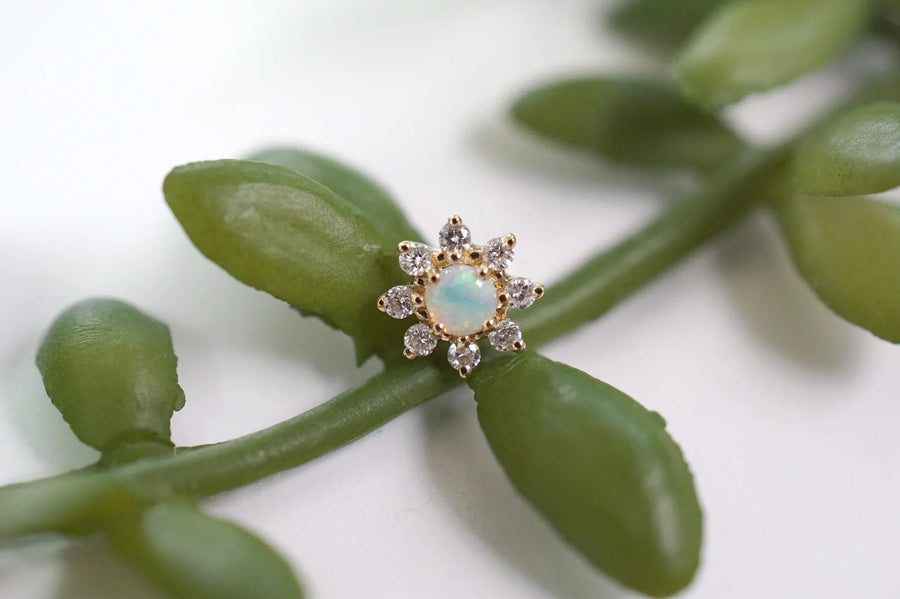 Modern Mood Athena Mini & Opal