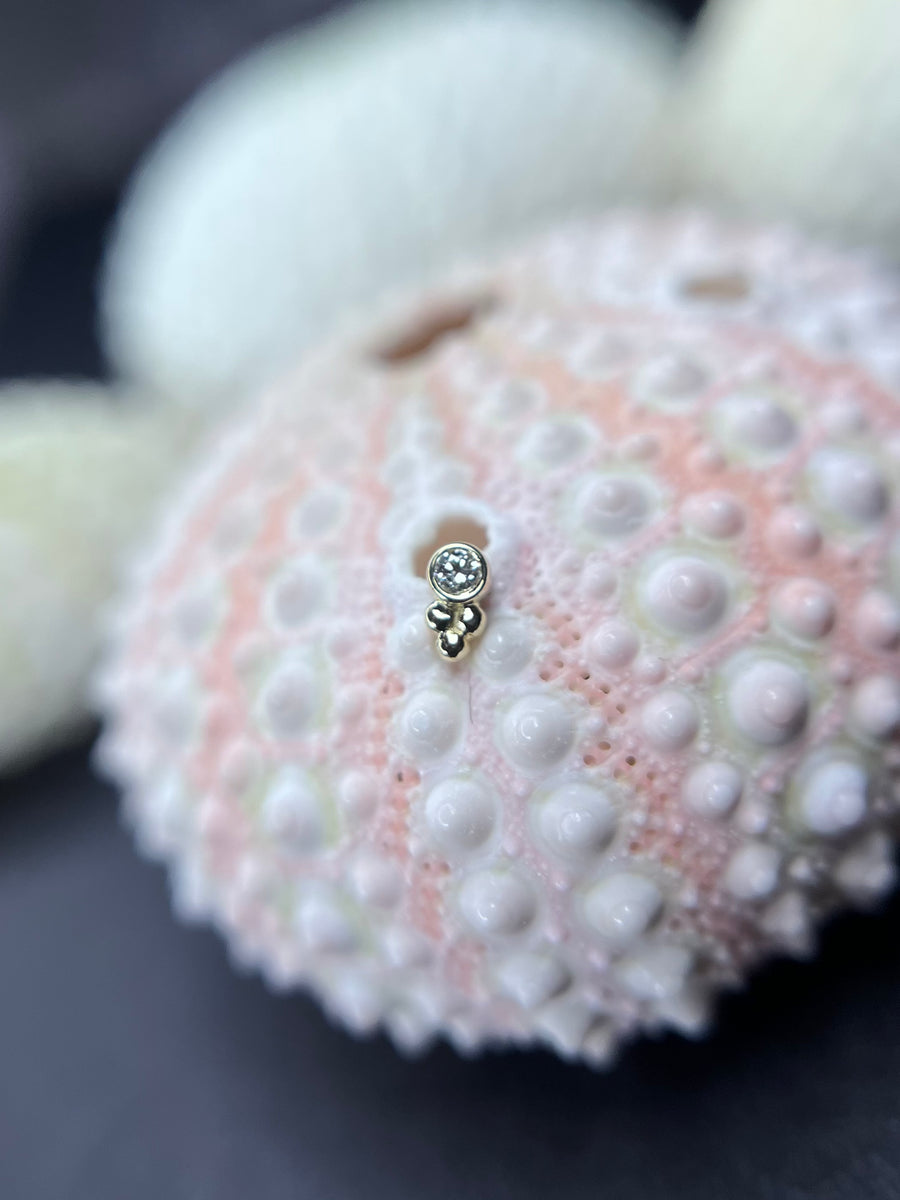BVLA Bezel + Bead
