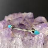Anatometal Nipple Barbell