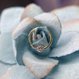 Body Gems Bezel Seamless