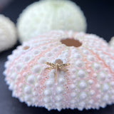 Anatometal Dragonfly