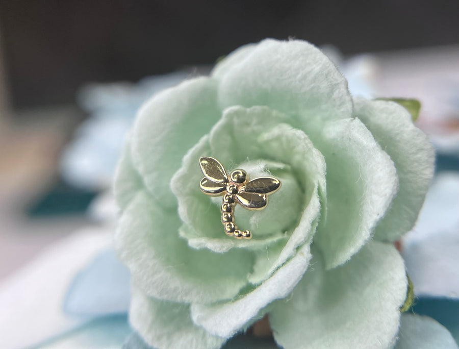Body Gems Dragonfly