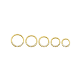 Anatometal Gemmed 16g Clicker 18k