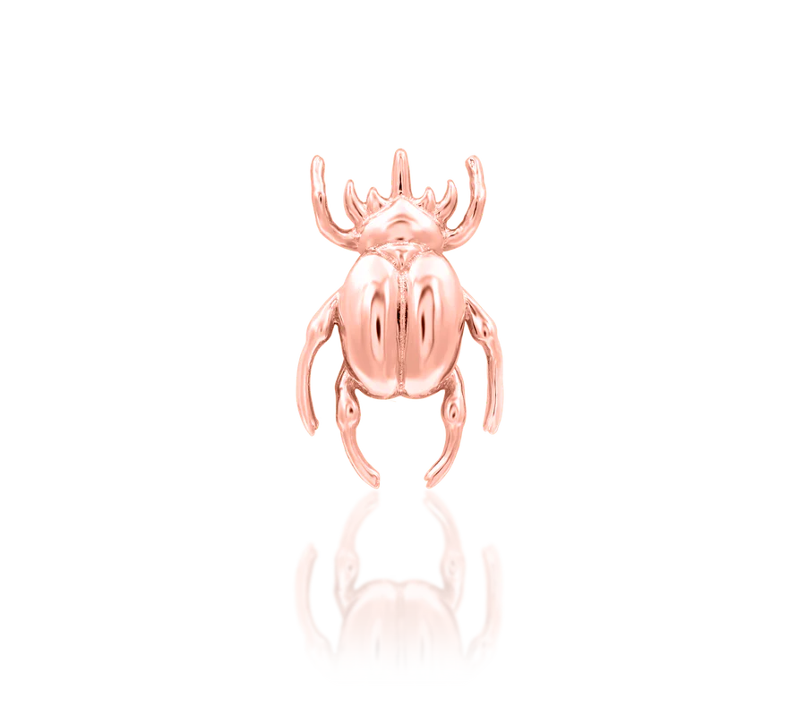 Junipurr Rhino Beetle