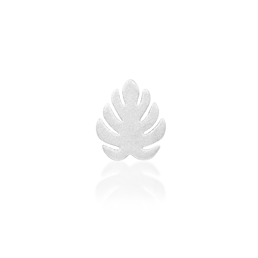 Junipurr Monstera