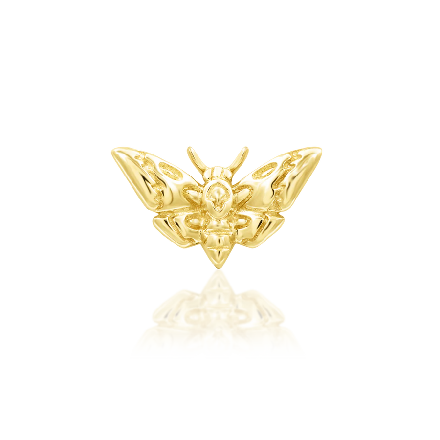 Junipurr Deaths-head Moth