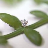 Modern Mood Leia Mini