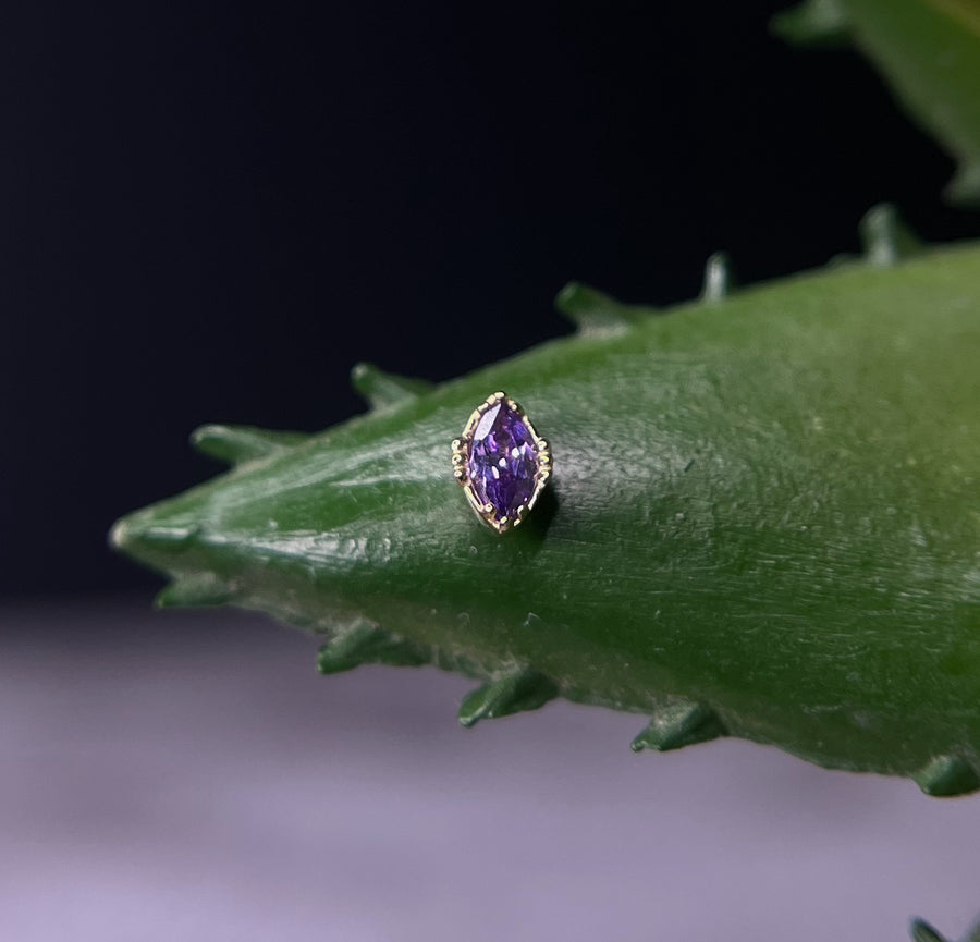 Anatometal Lindsey