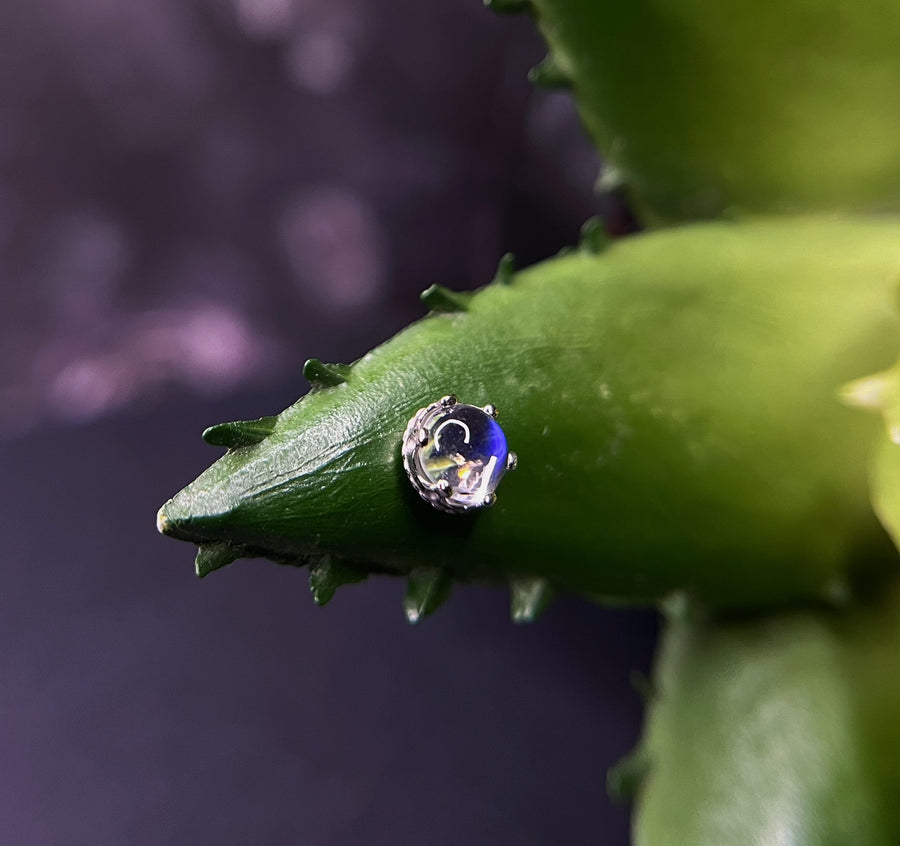 Anatometal Queen