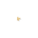 Tawapa Ribbon