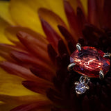 Modern Mood Orange Sapphire Freeform + Dangle : Limited Edition