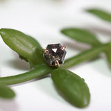 Modern Mood Salt & Pepper Hexagon - Limited Edition