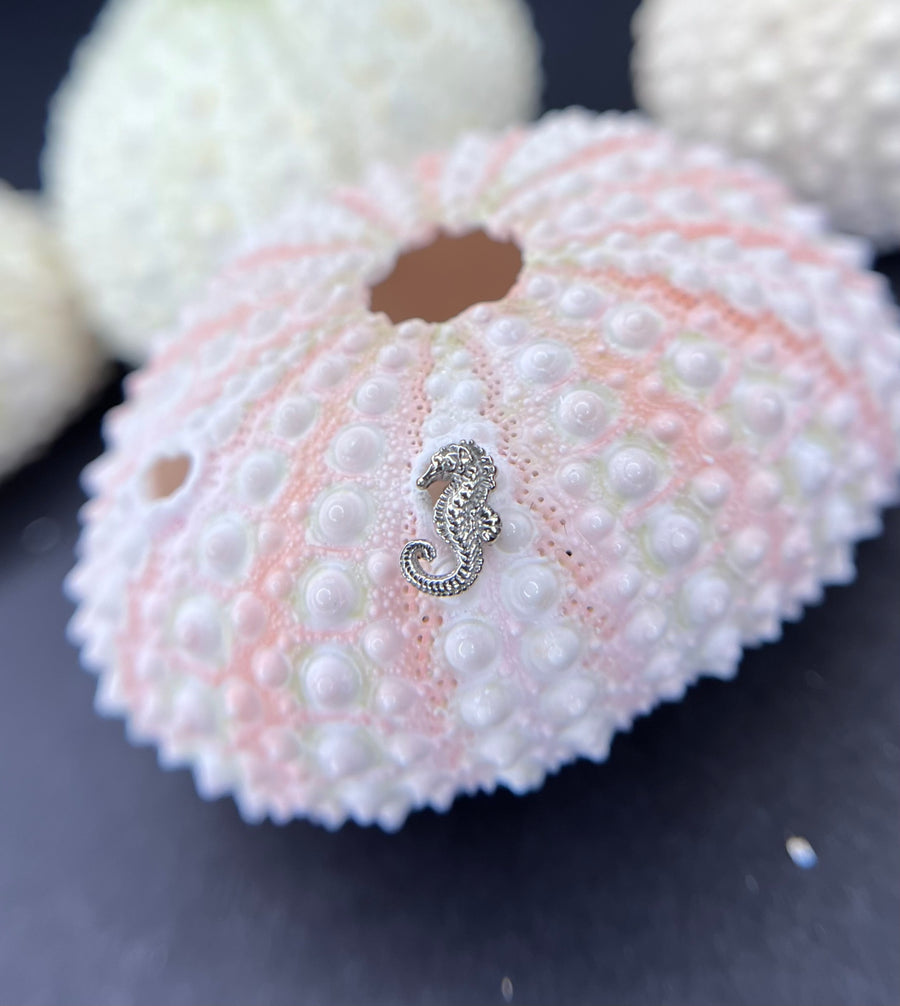 Anatometal Seahorse