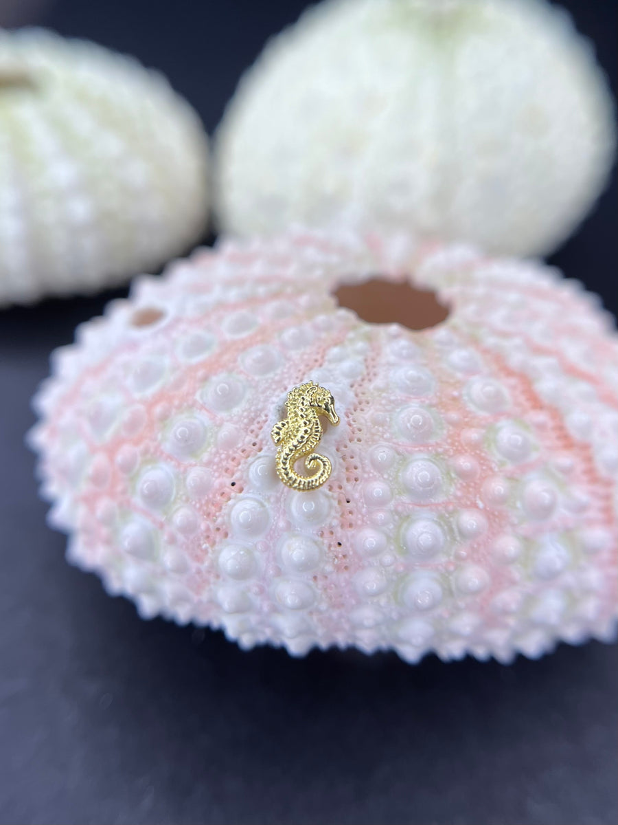 Anatometal Seahorse