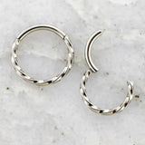 Titanium Twisted Hinge