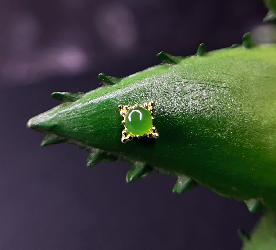 Anatometal Zia