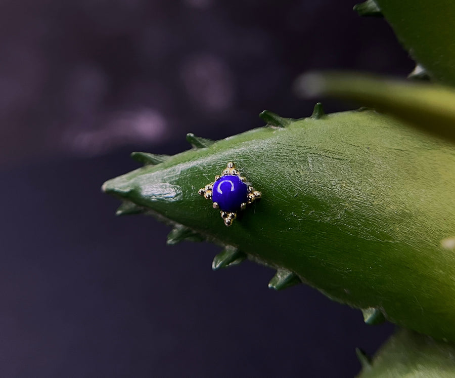 Anatometal Zia