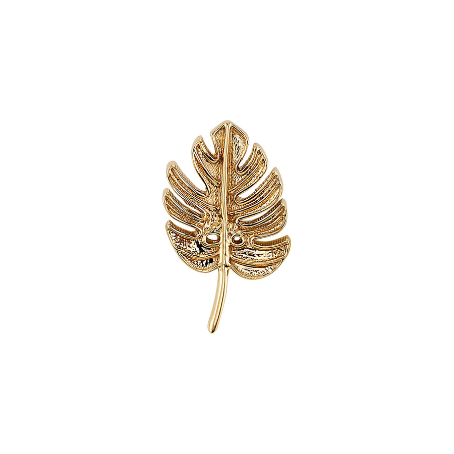 BVLA Monstera Leaf