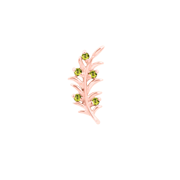 Junipurr Olive Branch
