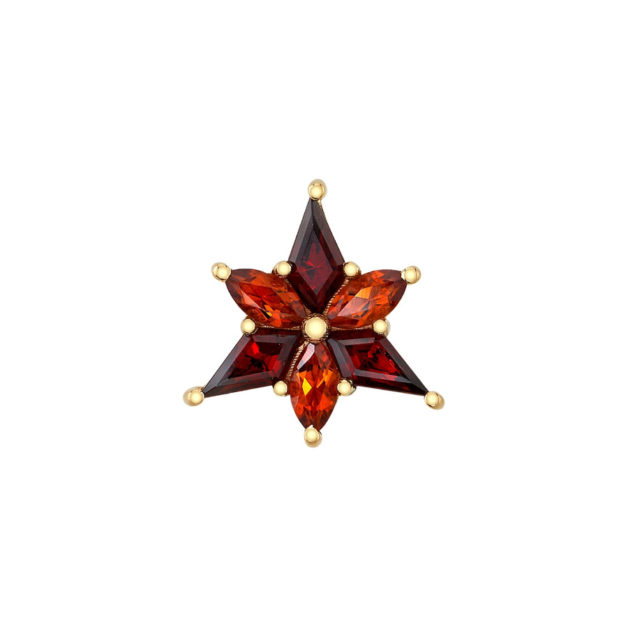 BVLA Stargazer